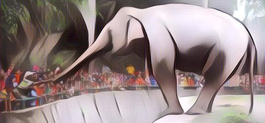 Tak Banyak yang Tahu, Ternyata Kebun Binatang Pertama di Indonesia Bukan di Ragunan