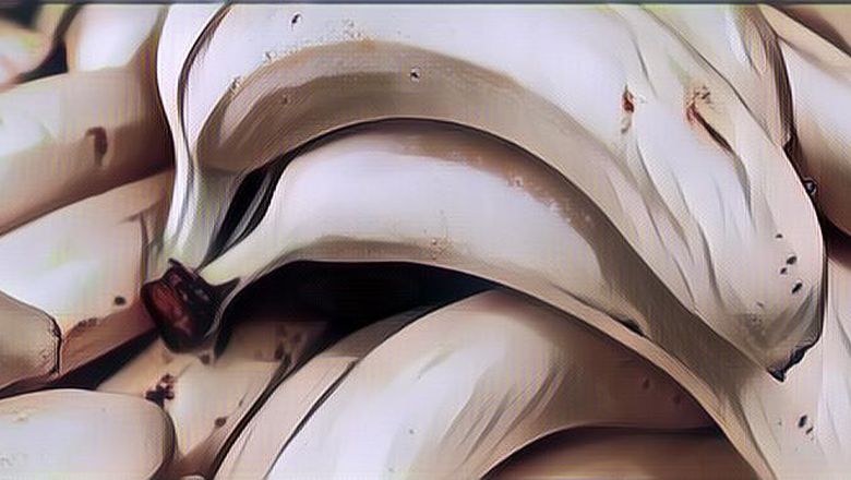 Nggak Cuma Enak, Ternyata Ini Lho Manfaat Buah Pisang Untuk Kesehatan Usus