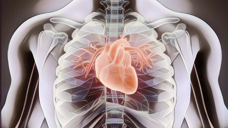 Mau Jantung Sehat Sampai Usia Lanjut? Ikuti Beberapa Cara Menjaga Jantung Sehat di Bawah ini ya!