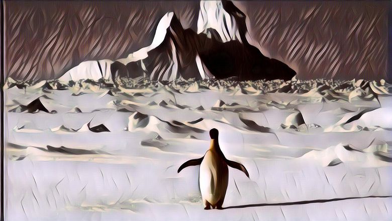 Kenapa Tak Ada Beruang Kutub di Antartika? Ternyata Ini Alasannya