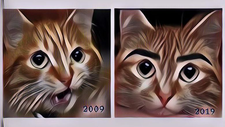 9 Gambar Paling Lucu dari Meme #10YearChallenge, Senin Ngakak Kuy