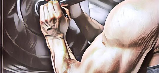 Gak Pake Nge-Gym, Hewan-hewan Ini Punya Badan Berotot Kayak Binaragawan~