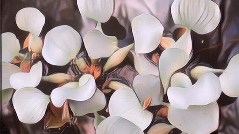 Selain Jadi Hama, Ternyata Enceng Gondok Punya 7 Khasiat Ajaib