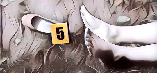 Heboh Sepasang Mayat Tubuh Pria dan Wanita Menempel di Hutan, Diduga Tewas Pasca Berhubungan Seks