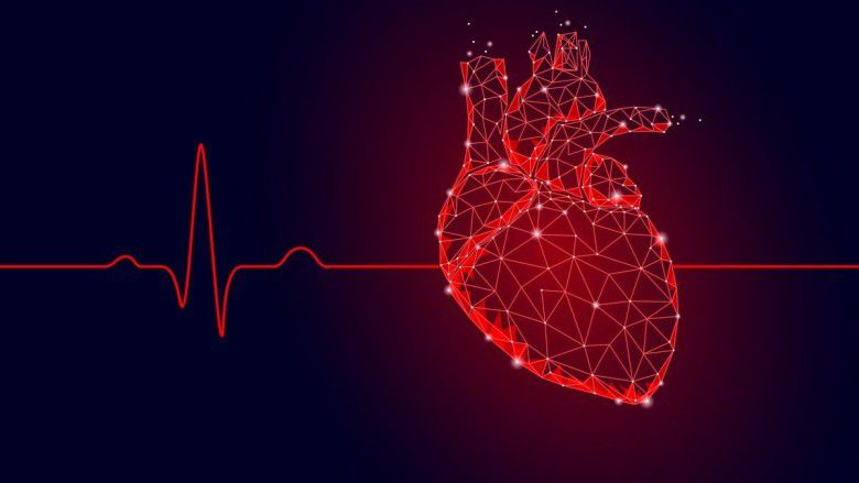 Manusia Tanpa Jantung