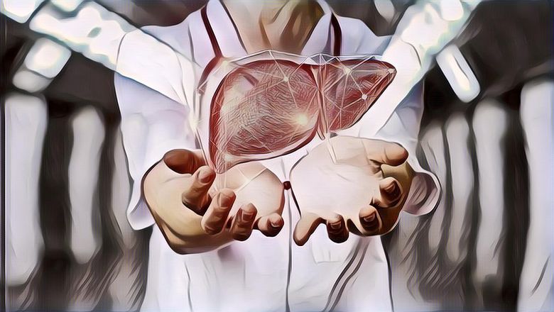 PENTING! Berikut 5 Cara Menjaga Organ Hati Agar Tetap Sehat dan Terhindar dari Berbagai Penyakit