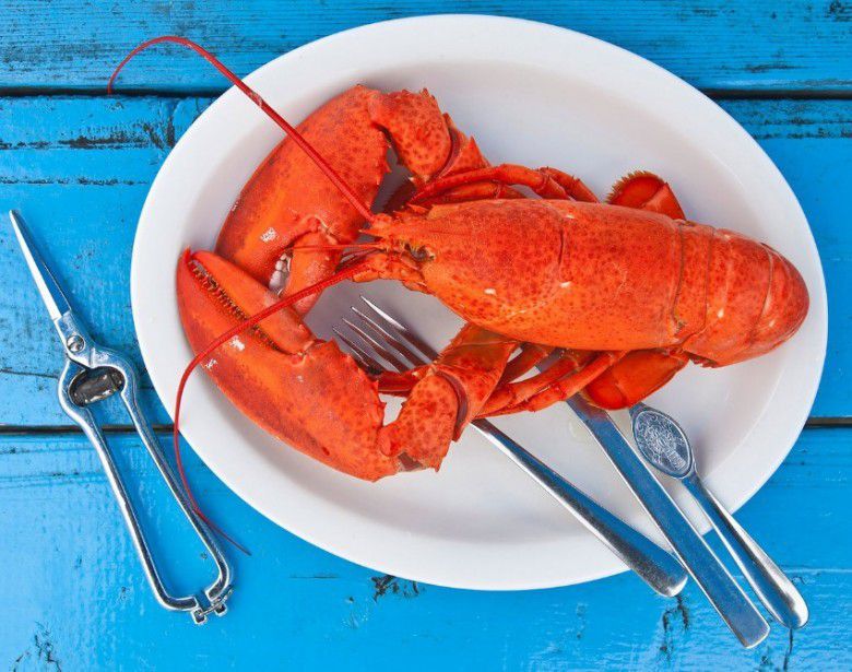 #Makanan yang kaya zinc