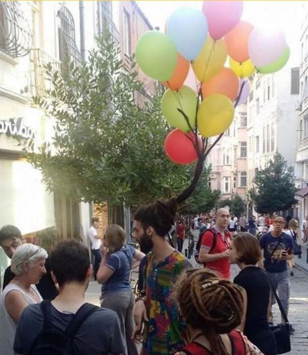 Ini rambut apa pohon?