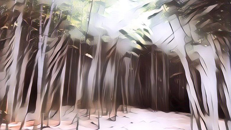 Pecinta Drakor Pasti Tahu, Ini 3 Tempat Wisata di Busan yang Jadi Lokasi Syuting Drama Korea