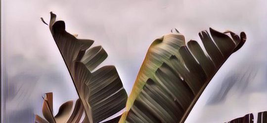 Harganya Rp120 Ribu, Tas Unik Ini Benar-Benar Mirip Daun Pisang