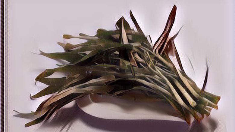 Resep Masakan Berbahan Dasar Sayur Kangkung Yang Enak Dan Bergizi