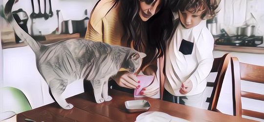 Makanan Ini Aman Buat Kalian, tapi Bahaya untuk Kucing (Bagian 1)