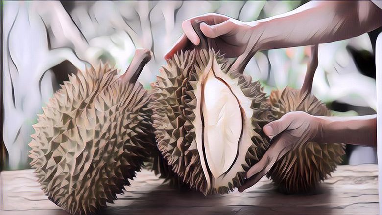 5 Buah Ini Bisa Bikin Gemuk, Hindari Mengkonsumsinya Kalau Kamu Lagi Diet Ya!