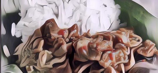 Daftar Makanan Khas Jombang yang Murah dan Bikin Ketagihan Banyak Digandrungi Para Santri