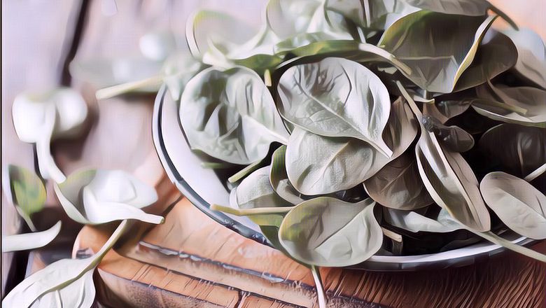 Cuss Cobain! 4 Manfaat Bayam untuk Perawatan Kulitmu Sist..