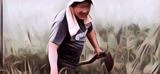 Beda Banget Sama yang Lain, Pensiunan Jenderal Polisi Putuskan Jadi Petani di Kampung Halamannya