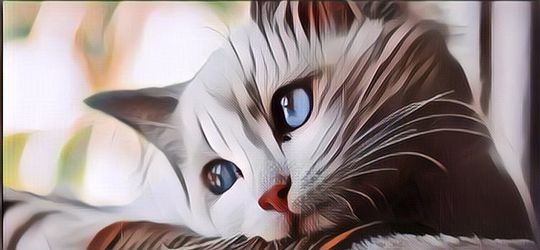 Inilah Tanda-tanda Kucing Depresi yang Harus Kamu Tahu