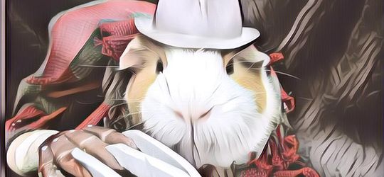 Info Menarik Terbaru: Kamu Gabakalan Nemuin Ini di Sekolah