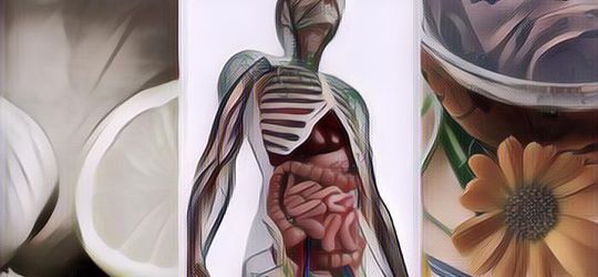 Cara Alami Membersihkan Darah, Tak Perlu Membeli Suplemen Detoks ataupun Diet Detoksifikasi