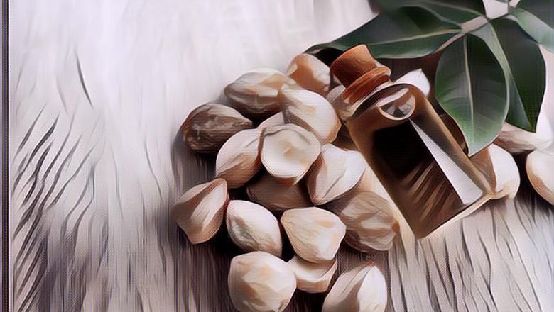 Nggak Cuma Buat Rambut, Ini Deretan Manfaat Minyak Kemiri untuk Wajah