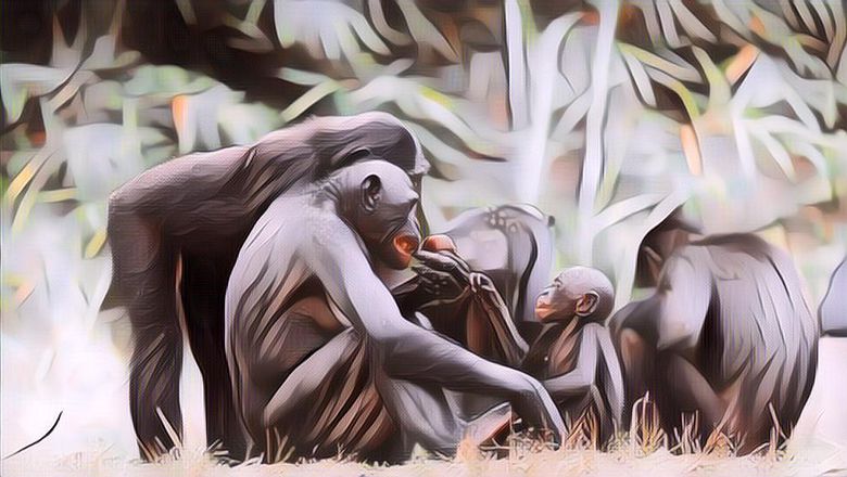 5 Binatang yang Memiliki Memori Terpendek, Beberapa Detik Sudah Lupa!