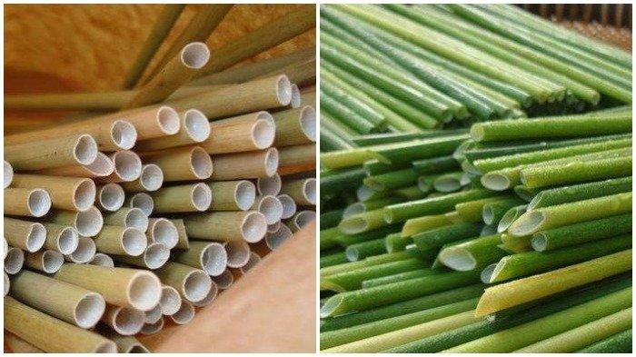 Sedotan Ramah Lingkungan