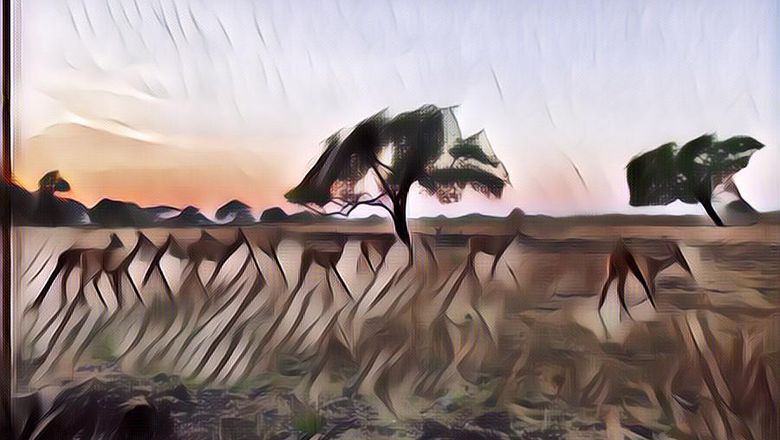 4 Tempat Berburu Sunset Terbaik di Banyuwangi, Pecinta Senja Wajib Merapat