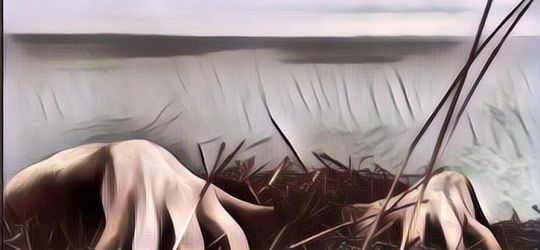 Ketemu Hantu Waktu Mancing: Based On True Story~