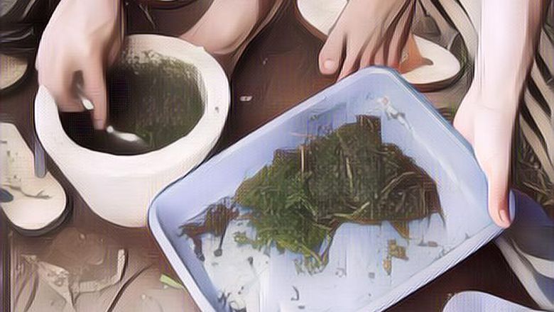 Cara Membuat Pestisida Alami di Rumah Menggunakan Bahan yang Murah dan Mudah Didapat