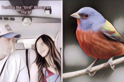 Lagi Viral di TikTok, Begini Cara Cek Hubungan dengan Pasangan Pakai Bird Theory