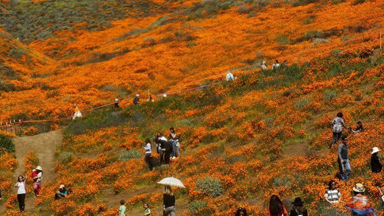 4. Walker Canyon, California