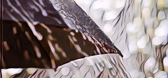 Aplikasi Antivirus Android Paling Ampuh, Cobain Deh yang Ini