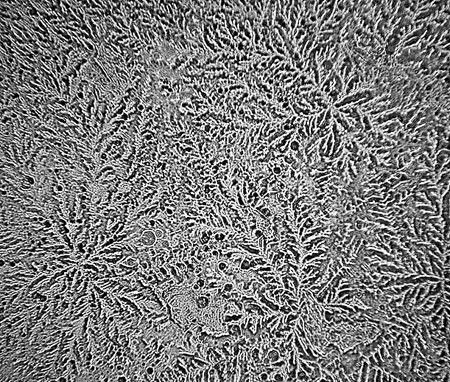 Tetes air mata akibat mengiris bawang