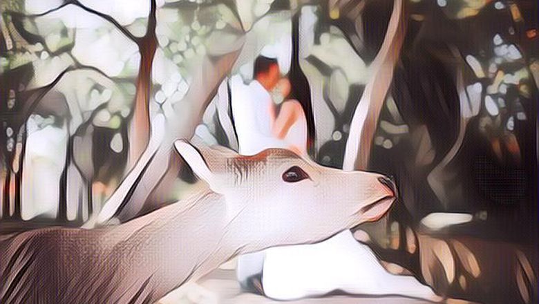 Hewan Rese di Foto Prewed, Kamu Bakal Ngakak Dah