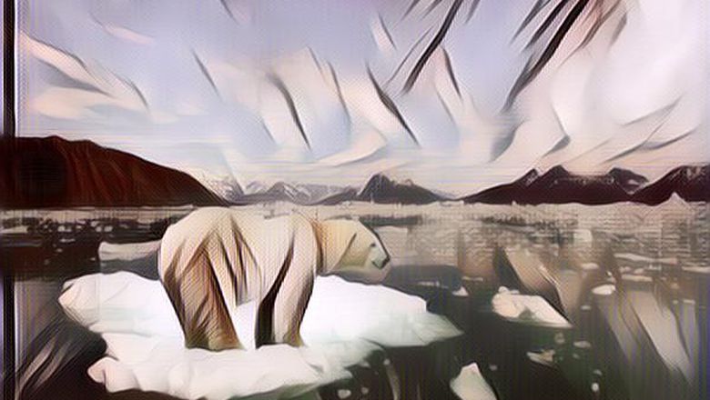 Sedih, Es di Arktika Banyak Mencair, Masa Depan Beruang Kutub Semakin Suram