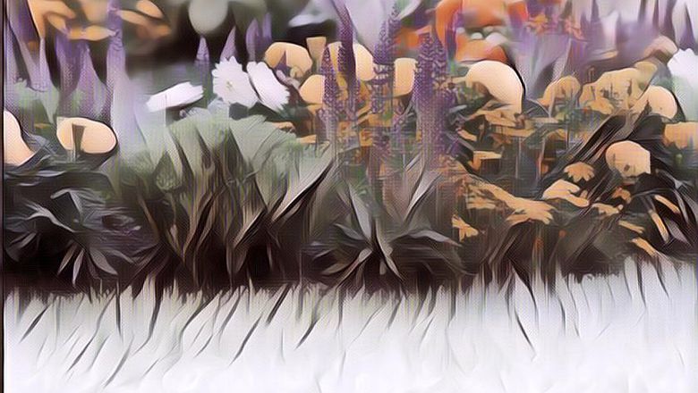 Penelitian Menunjukkan Nanoplastik Bisa Menumpuk Di Tanaman, Kita Makan Plastik Dong?