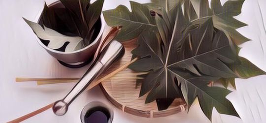 Daun Pepaya Ternyata Berkhasiat untuk Miss V, Ini Faktanya!