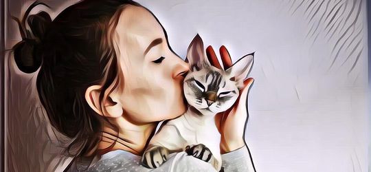 Kepribadian yang Dimiliki Pecinta Kucing, Cocok Nih Jadi Pasangan Hidup!