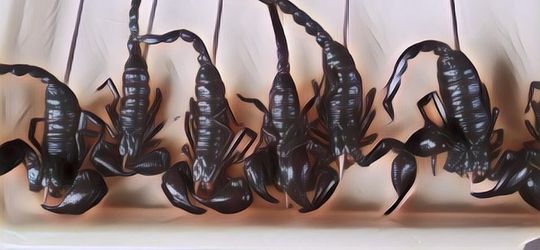 Makanan Seram Ini Bikin Merinding Ngeliatnya, Tapi Lihat Deh Manfaatnya