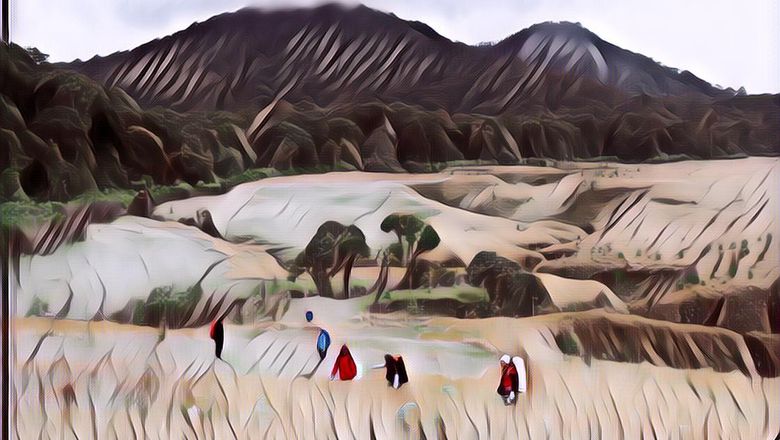 Indahnya Sejumlah Padang Rumput di Pulau Jawa, Keunikan Alam di Antara Kepadatan Penduduk