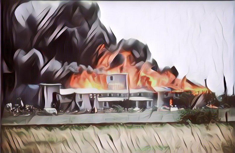 1. Cabang dari Sekte Davidians