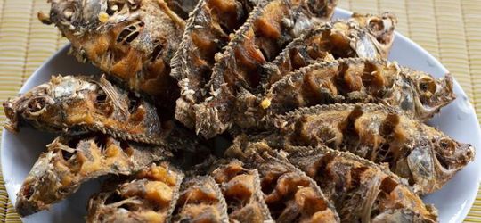 Begini Cara Masak Ikan Mujair Agar Tidak Bau Tanah dan Lengket di Wajan Saat Digoreng