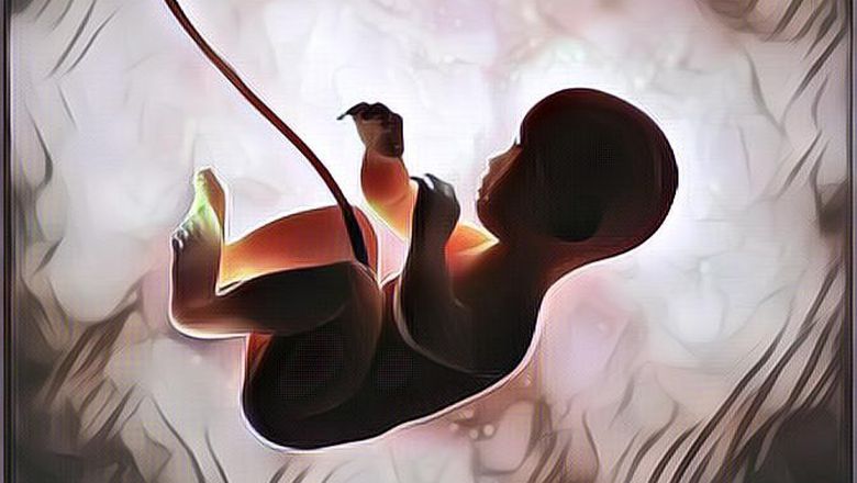 Bikin Syok! Mikroplastik Masuk ke Plasenta Bayi dalam Kandungan, Kok Bisa Sih?