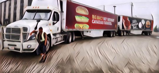 Kerja Jadi Sopir di Kanada, Pria Indonesia Ini Digaji Ratusan Juta Sebulan