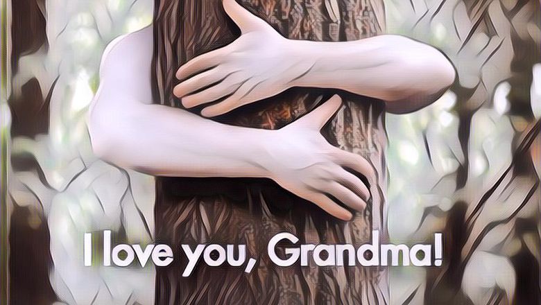 Capsula Mundi: Kuburan Inovatif yang Bikin Kamu Jadi Pohon Setelah Mati