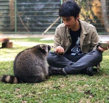 5. Raccoon super cute