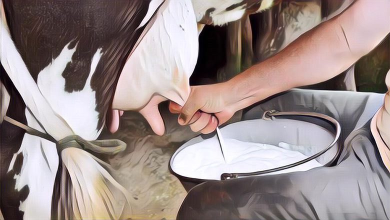 10 Efek Buruk Susu Sapi yang Patut Kamu Tahu, Jangan Percaya Iklan Produk Susu Lagi Ya