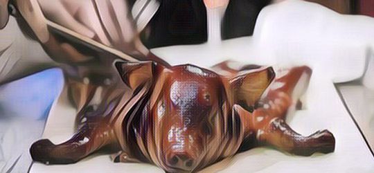 Dipaksa Netizen Masak Babi Guling, Jawaban Wanita Muslim Ini Bikin Kaget