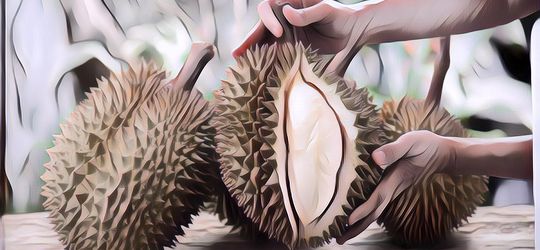 5 Buah Ini Bisa Bikin Gemuk, Hindari Mengkonsumsinya Kalau Kamu Lagi Diet Ya!