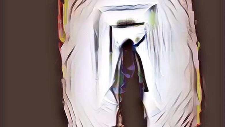 Bikin Merinding, Ini Sosok 'Penunggu' Gedung DPR RI, Katanya Sering Banget Menampakkan Dirinya